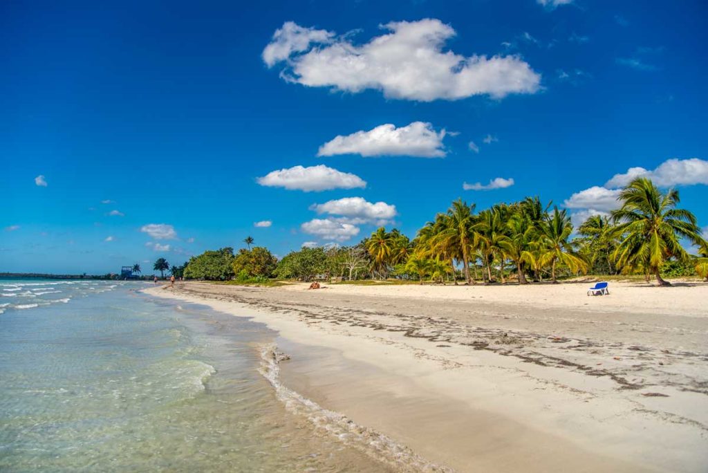 Playa Larga – Photo: Shutterstock sandy beach wth palm trees