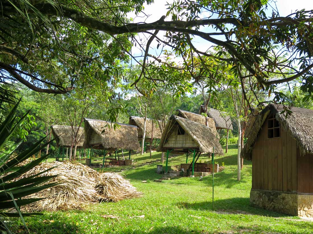 Small traditional huts in Las Terrazas – Photo: Shutterstock small huts with thatched roof on a sloping ground with grass