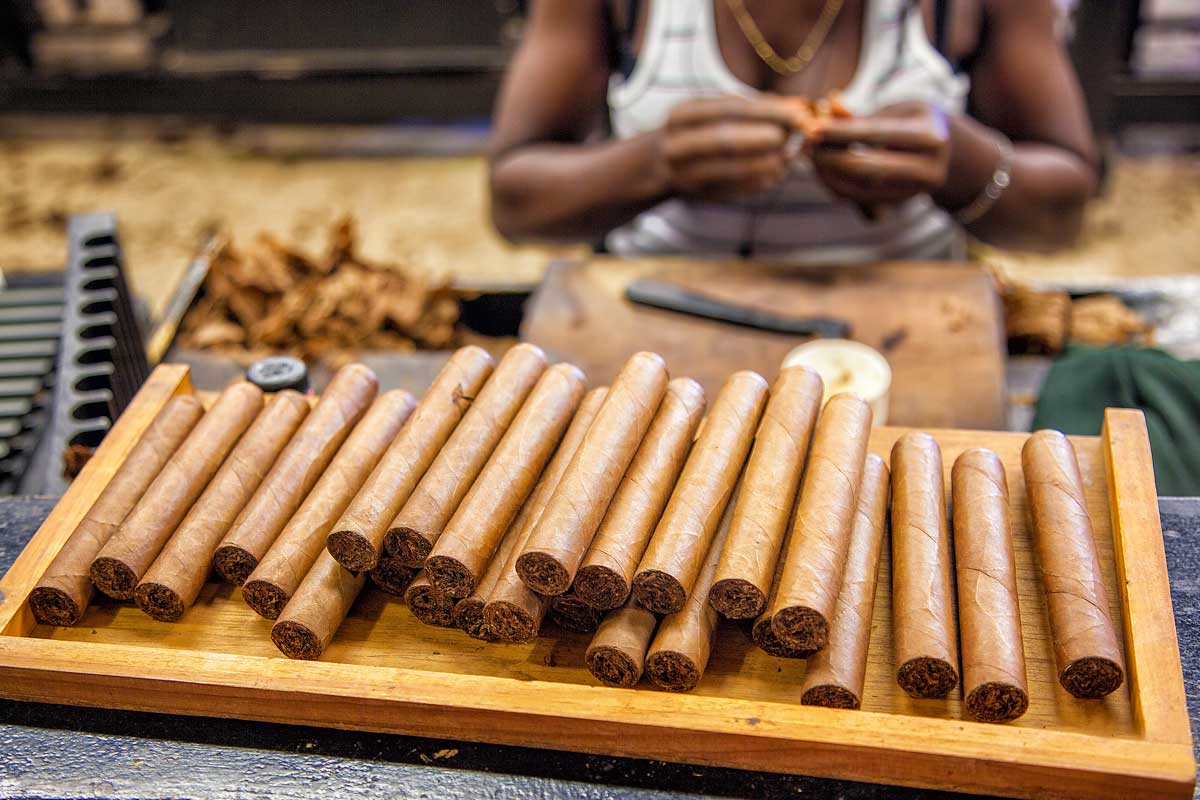 Man rolling Cuban cigars – Photo: Shutterstock black man rolling cuban cigars on wood tray