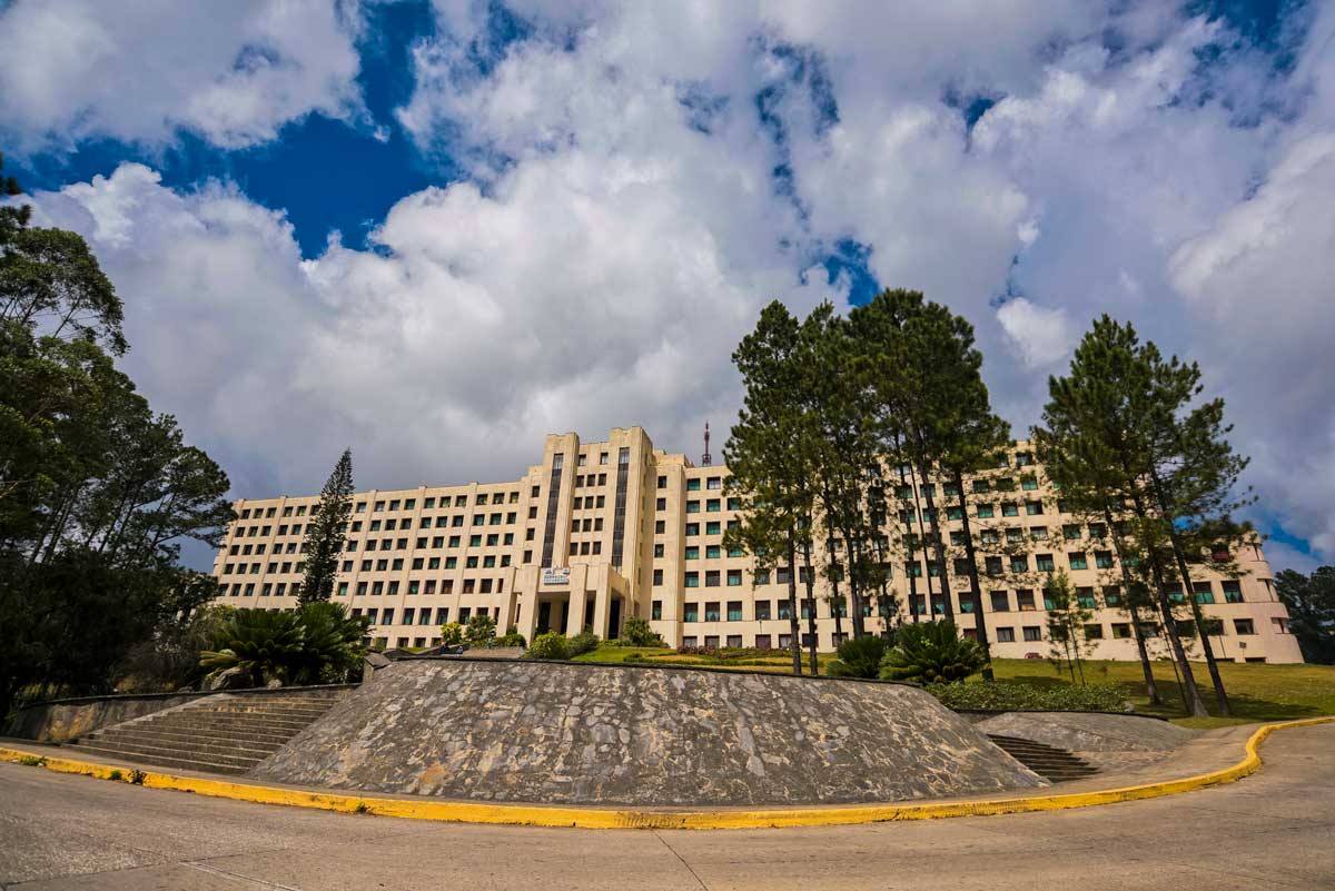 large hotel building with pine trees in front