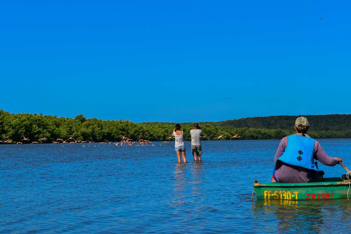Boat trip in the Guanaroca Lagoon, Cienfuegos – Photo: Shutterstock a couple stading in a lake taking photos of pink flamingos
