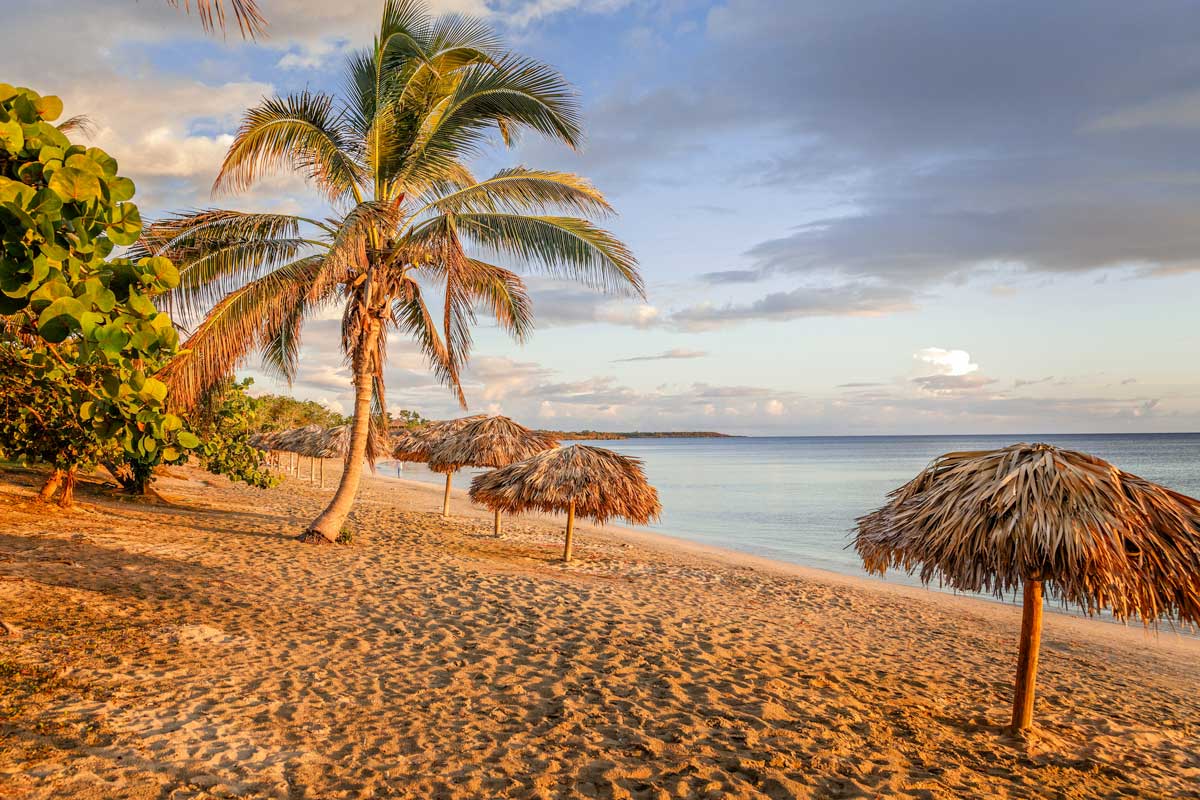 Rancho Luna Beach, Cienfuegos – Photo: Shutterstock palm tree on empty beach lined with beach umbrellas
