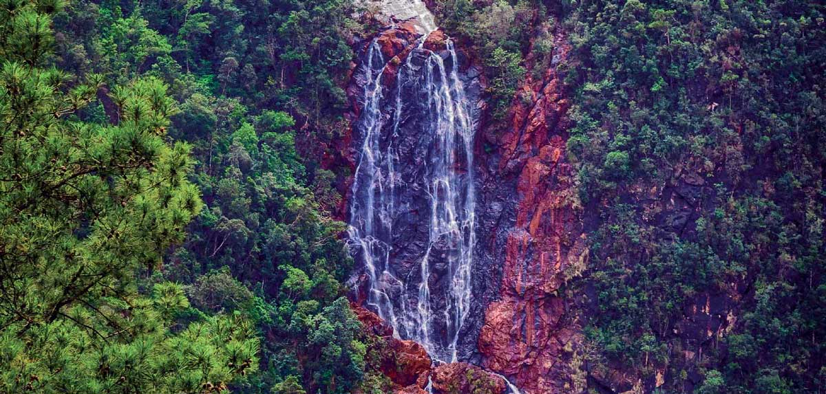 Salto del Guayabo waterfall, Pinares de Mayarí – Photo: CubaPlus waterfall cascading down mountain side with pine trees
