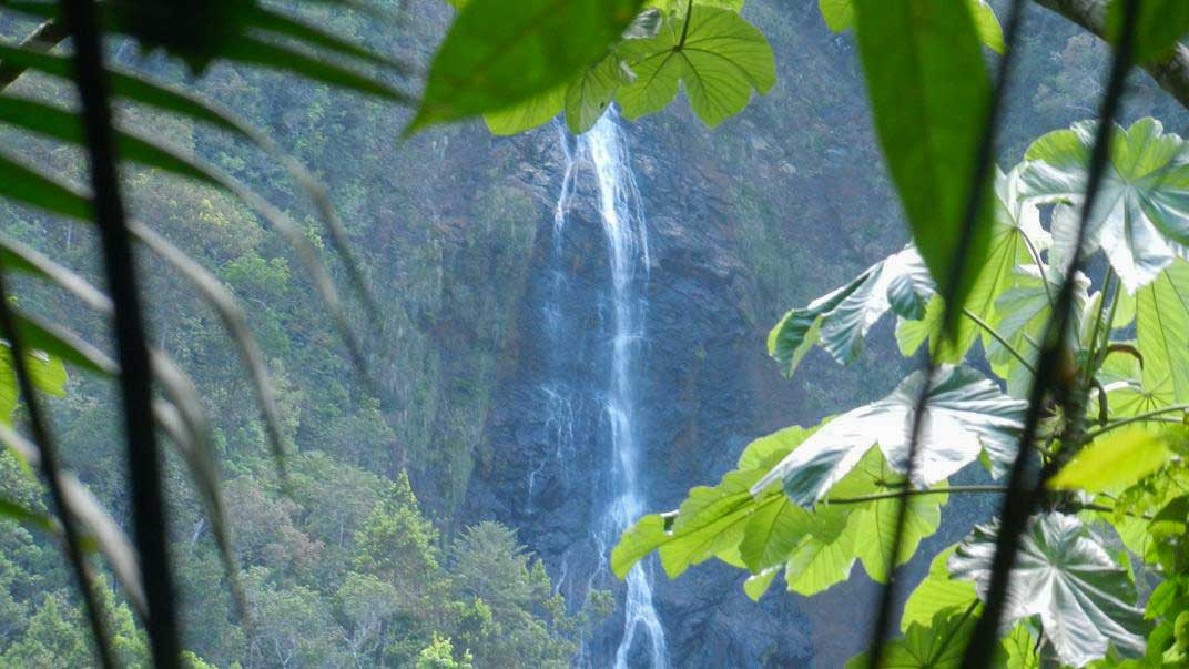 Salto Fino, Baracoa Ecological Reserve – Photo: El arroyo de la sierra waterfall cascading down a mountain side